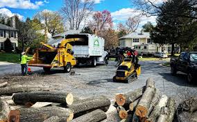 How Our Tree Care Process Works  in  Hiawatha, KS