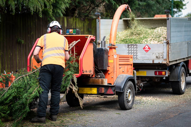 Lawn Watering Services in Hiawatha, KS